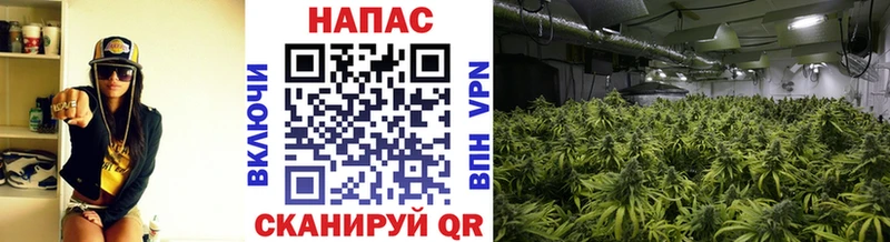 Шишки марихуана Ganja  продажа наркотиков  Касимов 